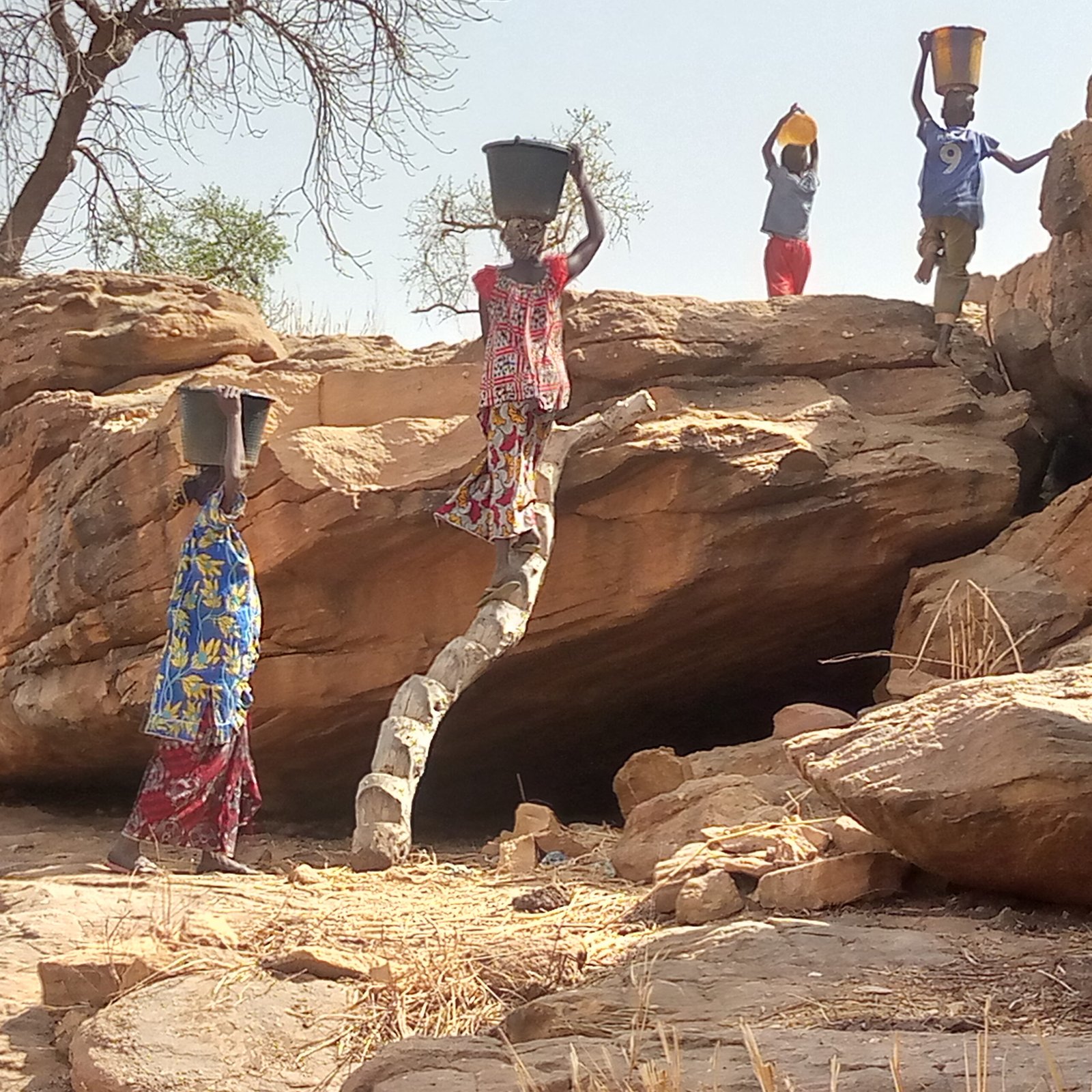 Carrying Water on the Dogon plateau