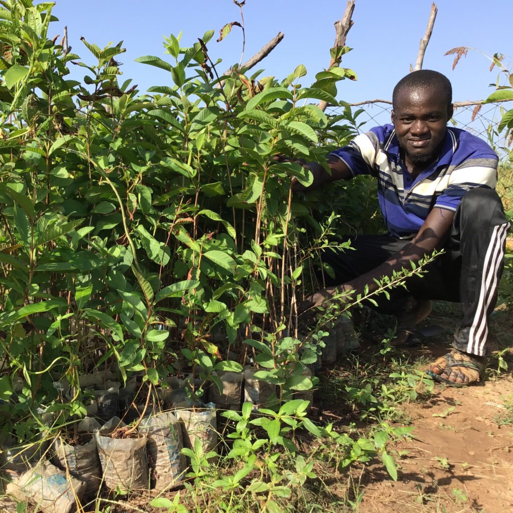 Fousseyni with guava seedlings